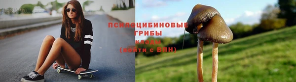 дживик Арсеньев