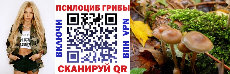 Галлюциногенные грибы мухоморы  ссылка на мегу ONION  Саки 